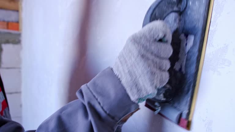 Best Forensic Mold Investigation  in Reidland, KY